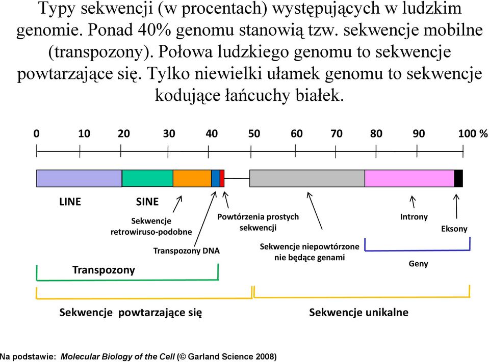 0 10 20 30 40 50 60 70 80 90 100 % LINE Transpozony SINE Sekwencje retrowiruso-podobne Transpozony DNA Powtórzenia prostych sekwencji