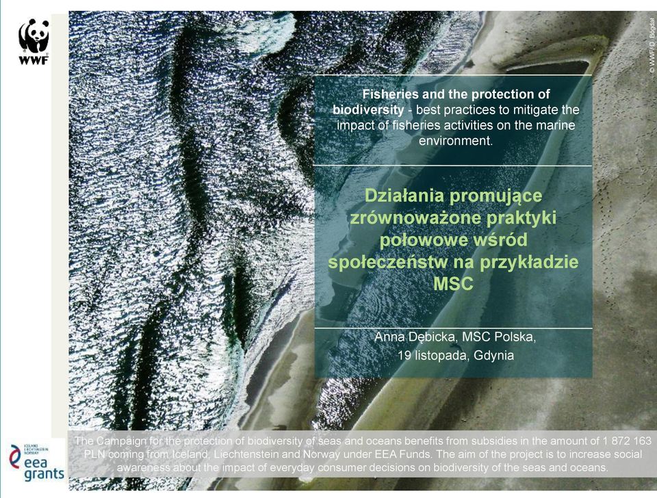 the protection of biodiversity of seas and oceans benefits from subsidies in the amount of 1 872 163 PLN coming from Iceland, Liechtenstein and Norway