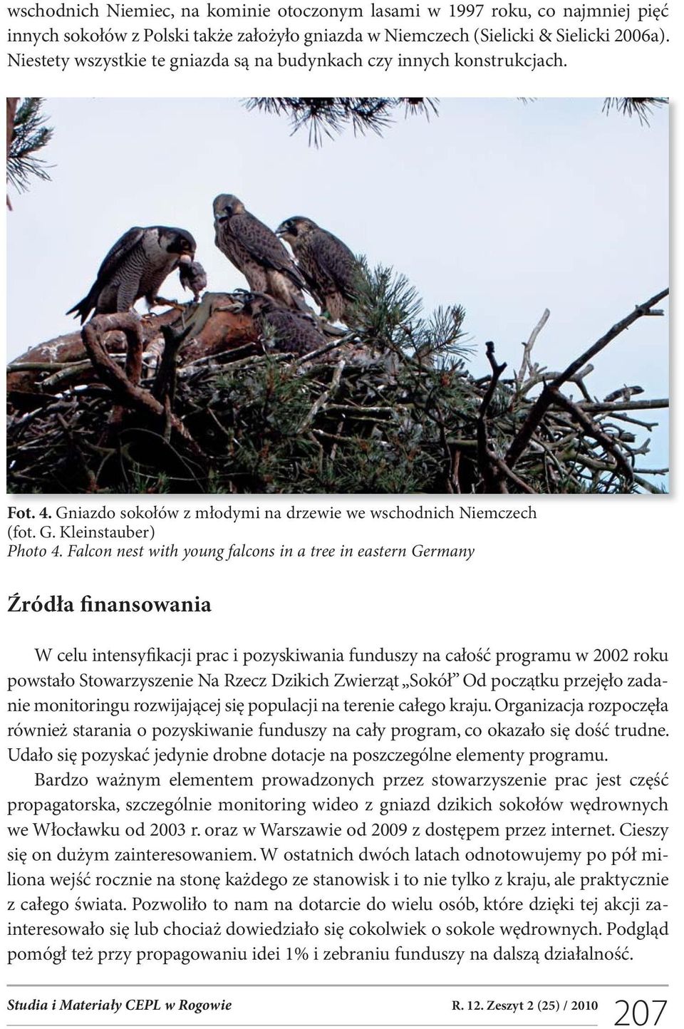 Falcon nest with young falcons in a tree in eastern Germany Źródła finansowania W celu intensyfikacji prac i pozyskiwania funduszy na całość programu w 2002 roku powstało Stowarzyszenie Na Rzecz