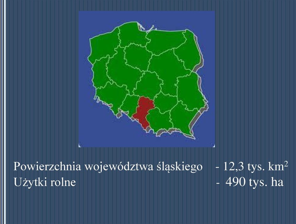 śląskiego - 12,3