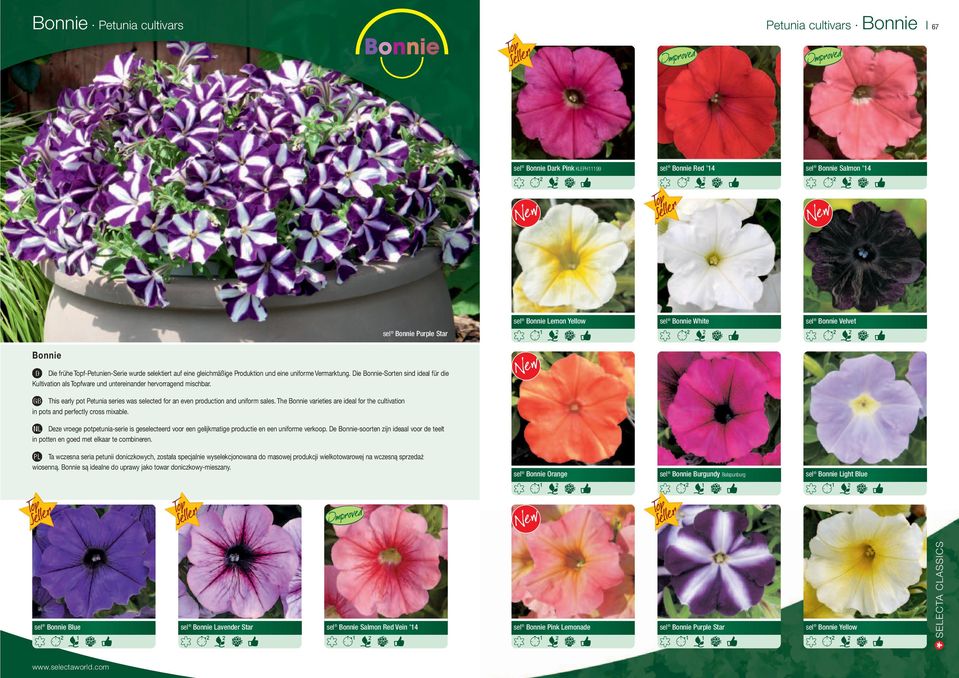 Die Bonnie-Sorten sind ideal für die Kultivation als Topfware und untereinander hervorragend mischbar. This early pot Petunia series was selected for an even production and uniform sales.