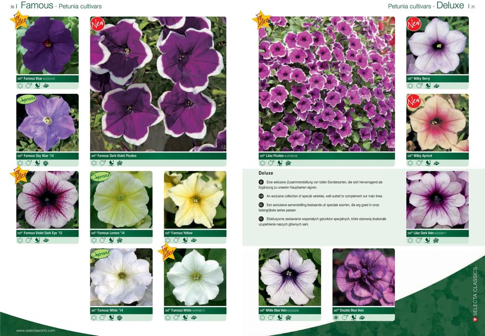 An exclusive collection of special varieties, well-suited to complement our main lines. Een exclusieve samenstelling bestaande uit speciale soorten, die erg goed in onze belangrijkste series passen.