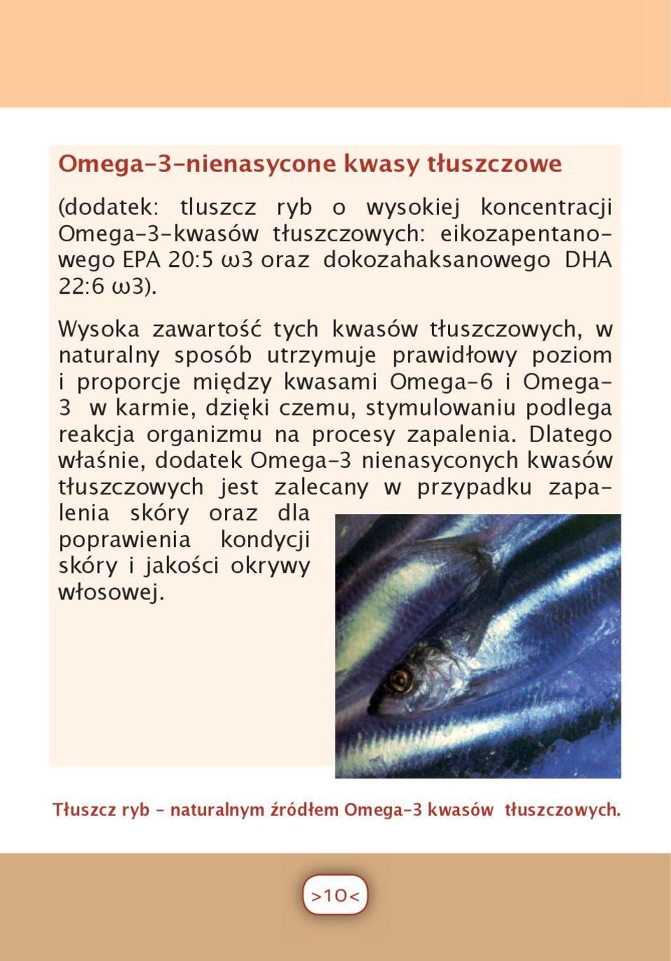 Wysoka zawartość tych kwasów tłuszczowych, w naturalny sposób utrzymuje prawidłowy poziom i proporcje między kwasami Omega-6 i Omega- 3 w karmie, dzięki czemu,