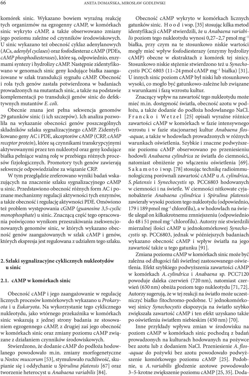 U sinic wykazano też obecność cyklaz adenylanowych (ACs, adenylyl cyclases) oraz fosfodiesteraz camp (PDEs, camp phosphodiesterases), które są, odpowiednio, enzymami syntezy i hydrolizy camp.