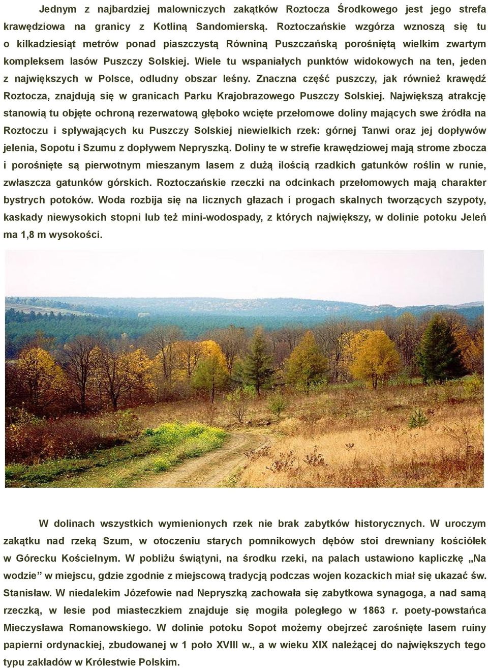 Wiele tu wspaniałych punktów widokowych na ten, jeden z największych w Polsce, odludny obszar leśny.
