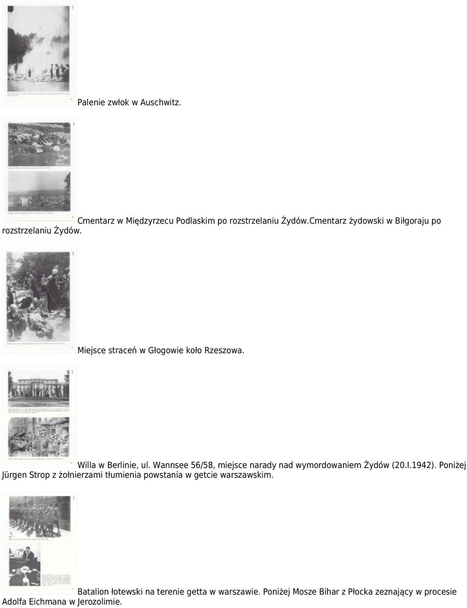 Wannsee 56/58, miejsce narady nad wymordowaniem Żydów (20.I.1942).