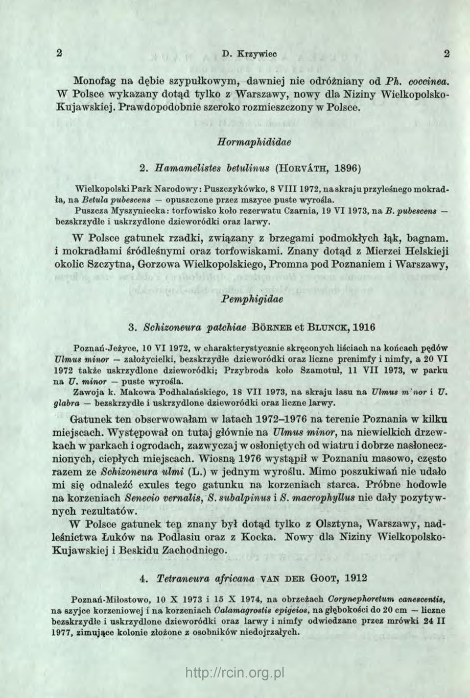 Hamamelistes betulinus ( H o r v I t h, 1896) Wielkopolski P ark Narodowy: Puszczykówko, 8 V III 1972, na skraju przyleśnego mokradła, na Betula pubescens opuszczone przez mszyce puste wyrośla.