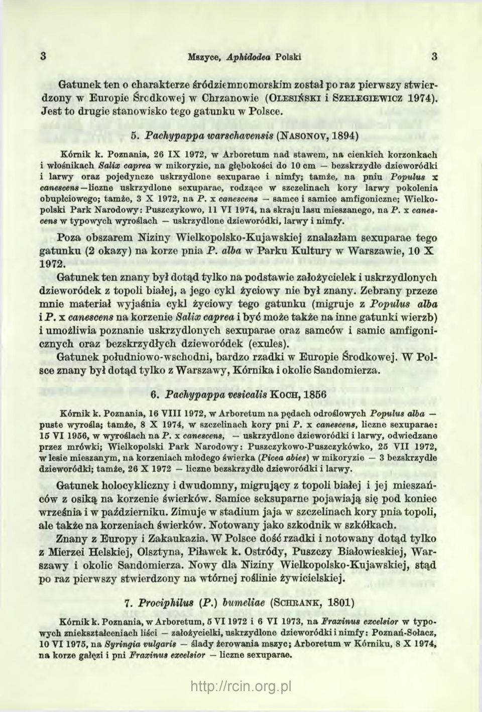 Poznania, 26 IX 1972, w Arboretum nad stawem, na cienkich korzonkach i włośnikach Salix caprea w mikoryzie, na głębokości do 10 cm bezskrzydłe dzieworódki i larwy oraz pojedyncze uskrzydlone