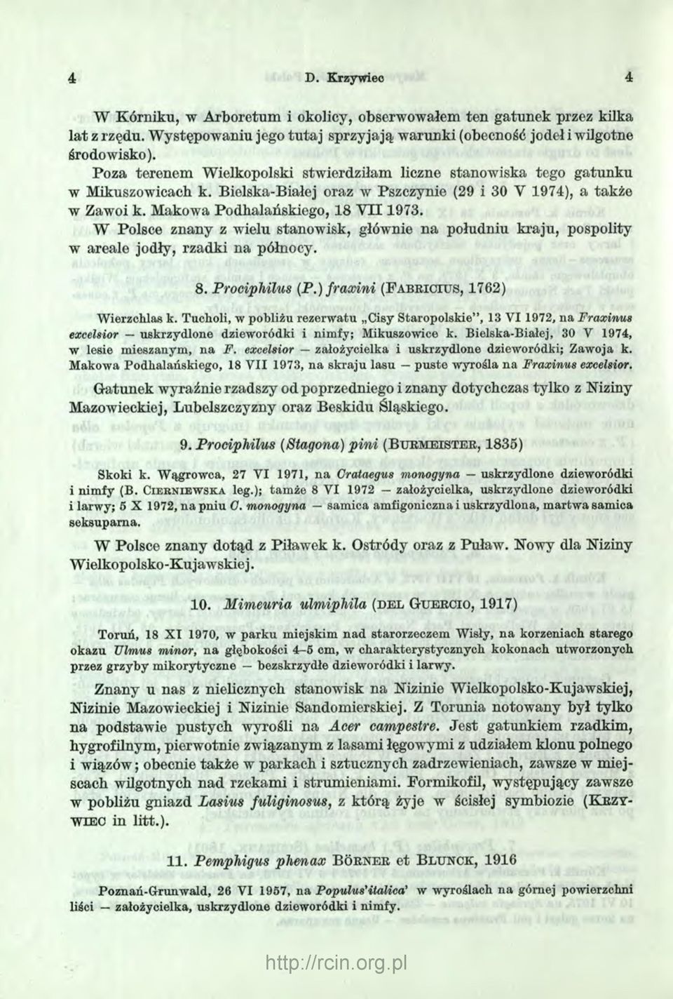 W Polsce znany z wielu stanowisk, głównie na południu kraju, pospolity w areale jodły, rzadki na północy. 8. Prociphilus (P.) fraxini (F a b r ic iu s, 1762) Wierzchlas k.
