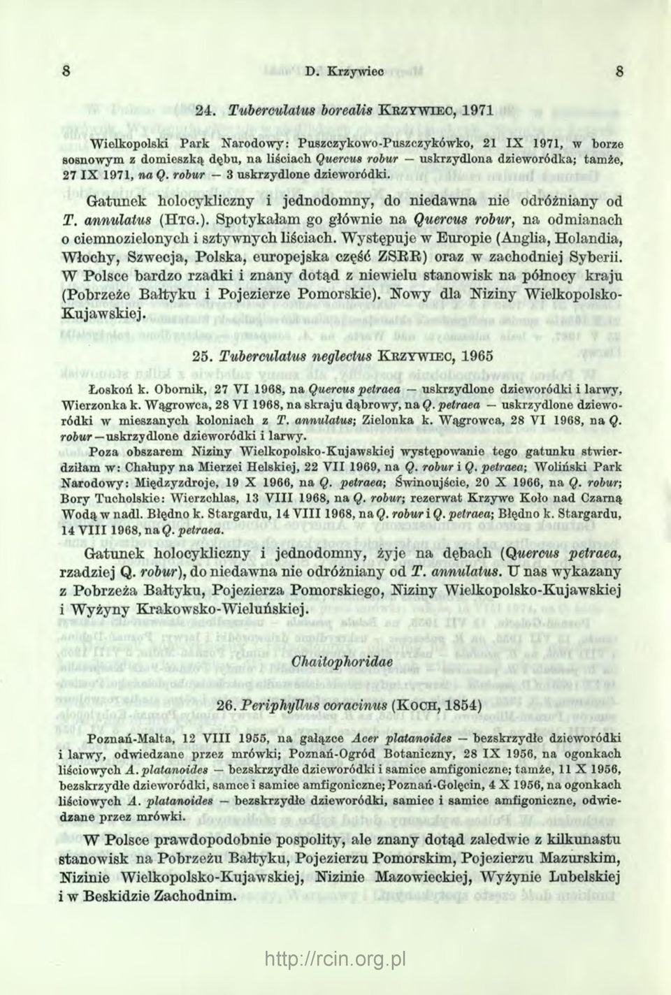 27 IX 1971, na Q. robur 3 uskrzydlone dzieworódki. Gatunek holocykliczny i jednodomny, do niedawna nie odróżniany od T. annulatus ( H tg.).