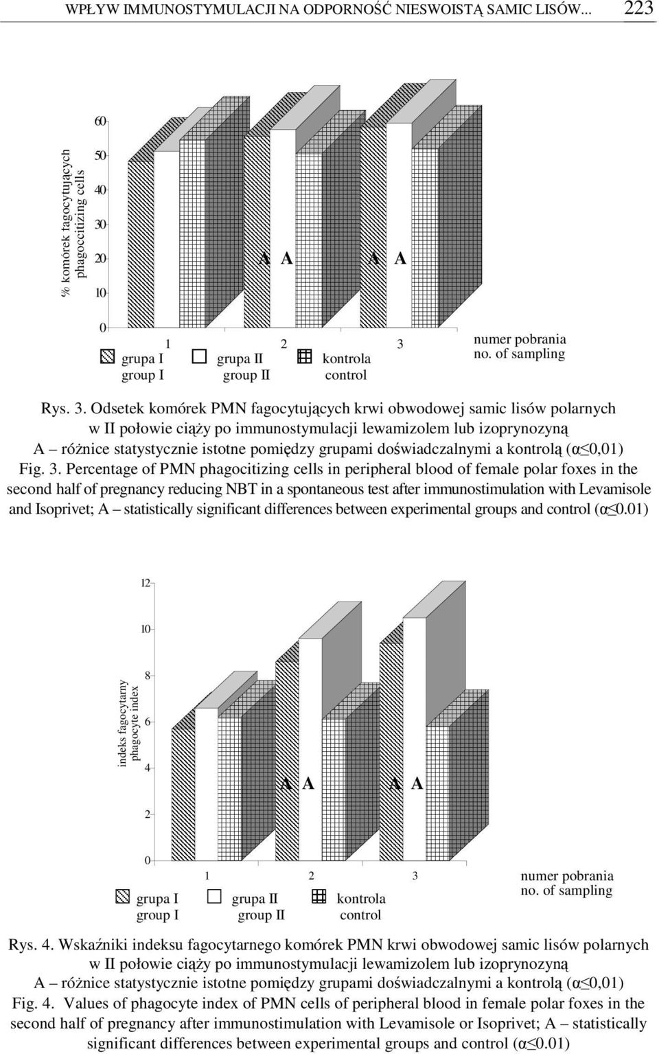Odsetek komórek PMN fagocytujcych krwi obwodowej samic lisów polarnych w II połowie ciy po immunostymulacji lewamizolem lub izoprynozyn A rónice statystycznie istotne pomidzy grupami dowiadczalnymi a