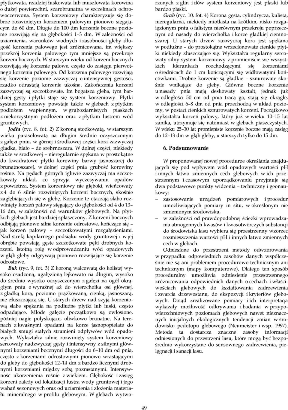 W zależności od uziarnienia, warunków wodnych i zasobności gleby długość korzenia palowego jest zróżnicowana, im większy przekrój korzenia palowego tym mniejsze są przekroje korzeni bocznych.