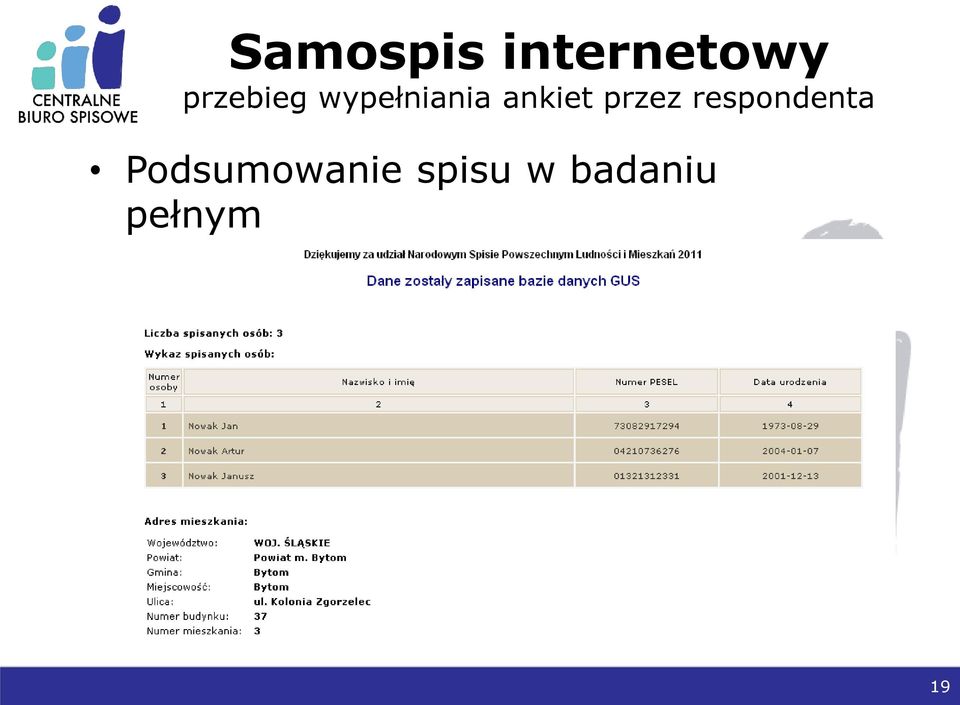 ankiet przez respondenta