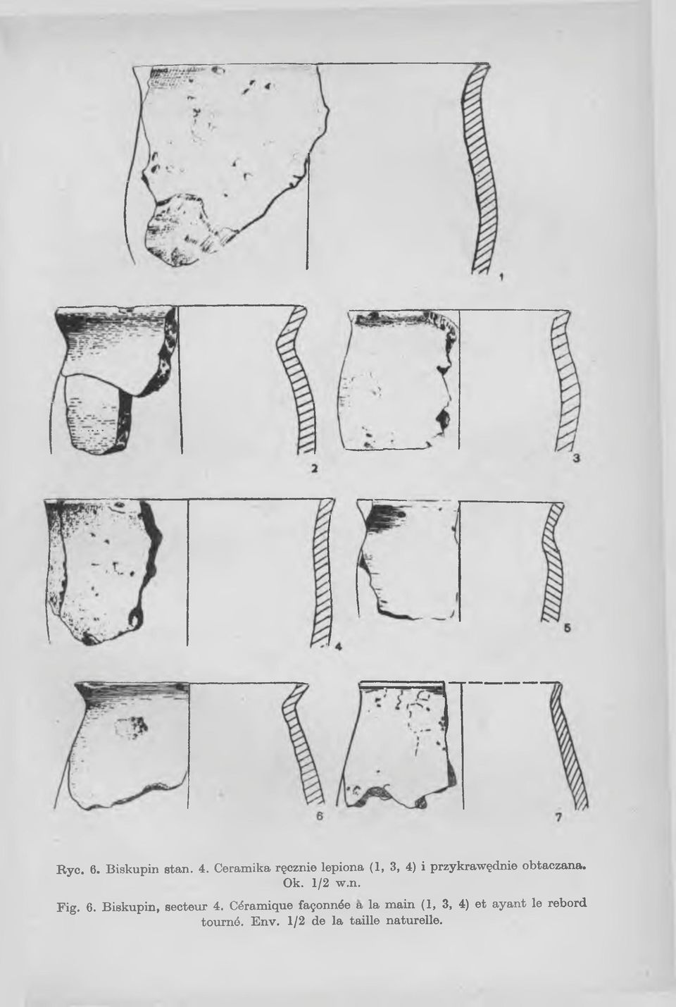 obtaczana. Ok. 1/2 w.n. Fig. 6. Biskupin, secteur 4.