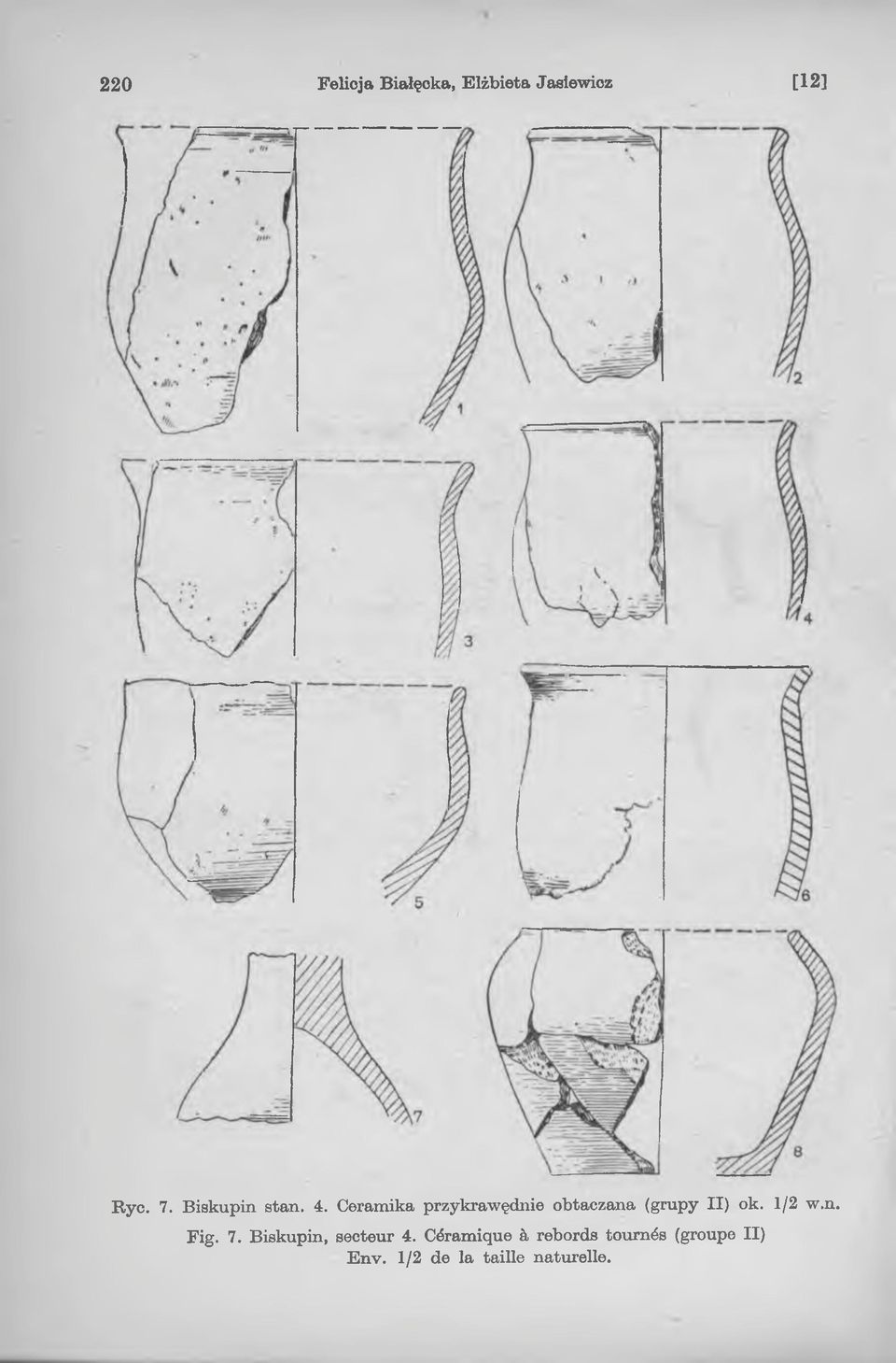 ok. 1/2 w.n. Fig. 7. Biskupin, secteur 4.