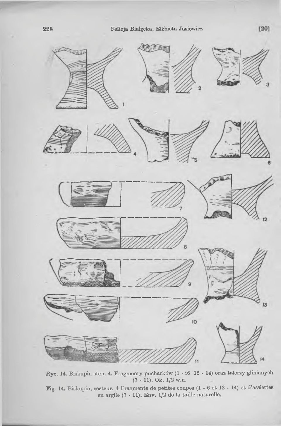 (7-11). Ok. 1/2 w.n. Fig. 14. Biskupin, secteur.