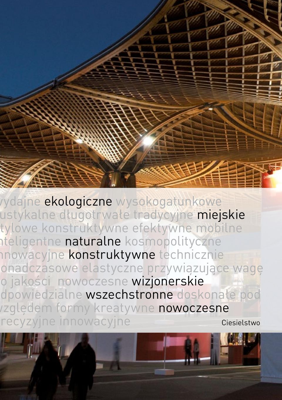 technicznie onadczasowe elastyczne przywiązujące wagę o jakości nowoczesne wizjonerskie