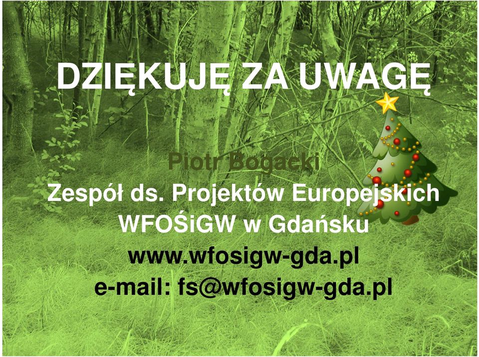 Projektów Europejskich WFOŚiGW