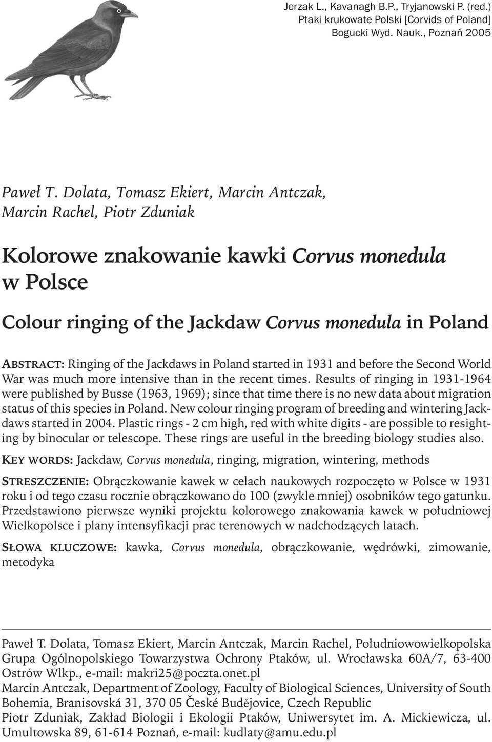 Jackdaws in Poland started in 1931 and before the Second World War was much more intensive than in the recent times.