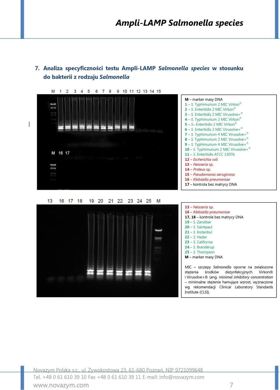 Typhimurium 2 MIC Virusolve+ 11 S. Enteritidis ATCC 13076 12 Escherichia coli 13 Neisseria sp. 14 Proteus sp.