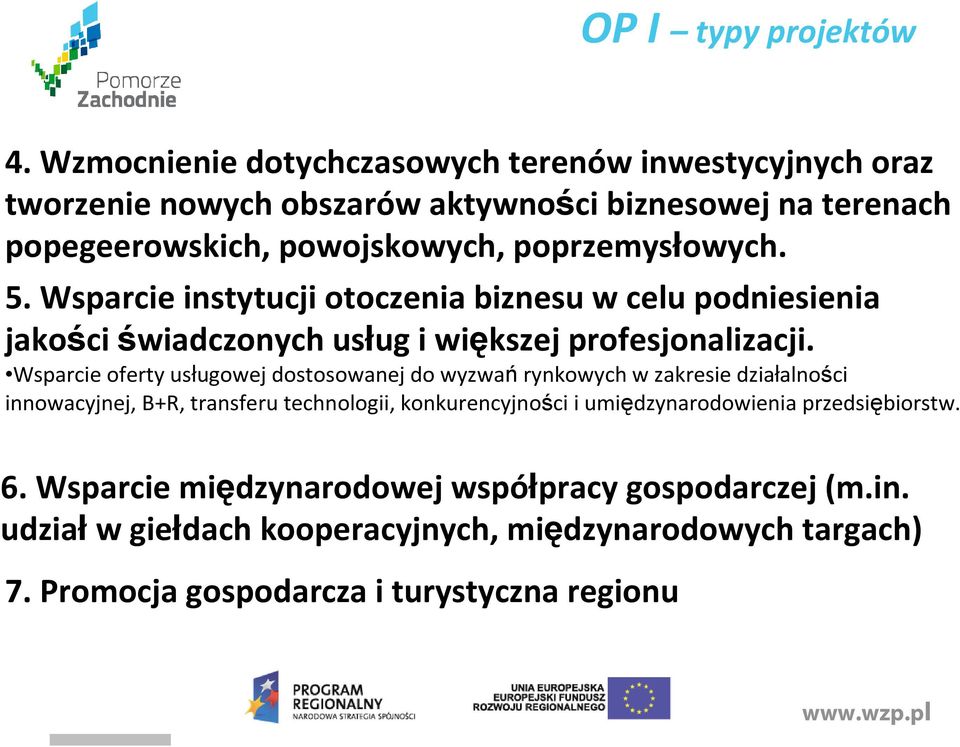 5. Wsparcie instytucji otoczenia biznesu w celu podniesienia jakości świadczonych usług i większej profesjonalizacji.