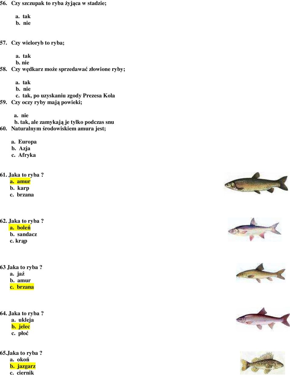 tak, ale zamykają je tylko podczas snu 60. Naturalnym środowiskiem amura jest; a. Europa b. Azja c. Afryka 61. Jaka to ryba? a. amur b. karp c.