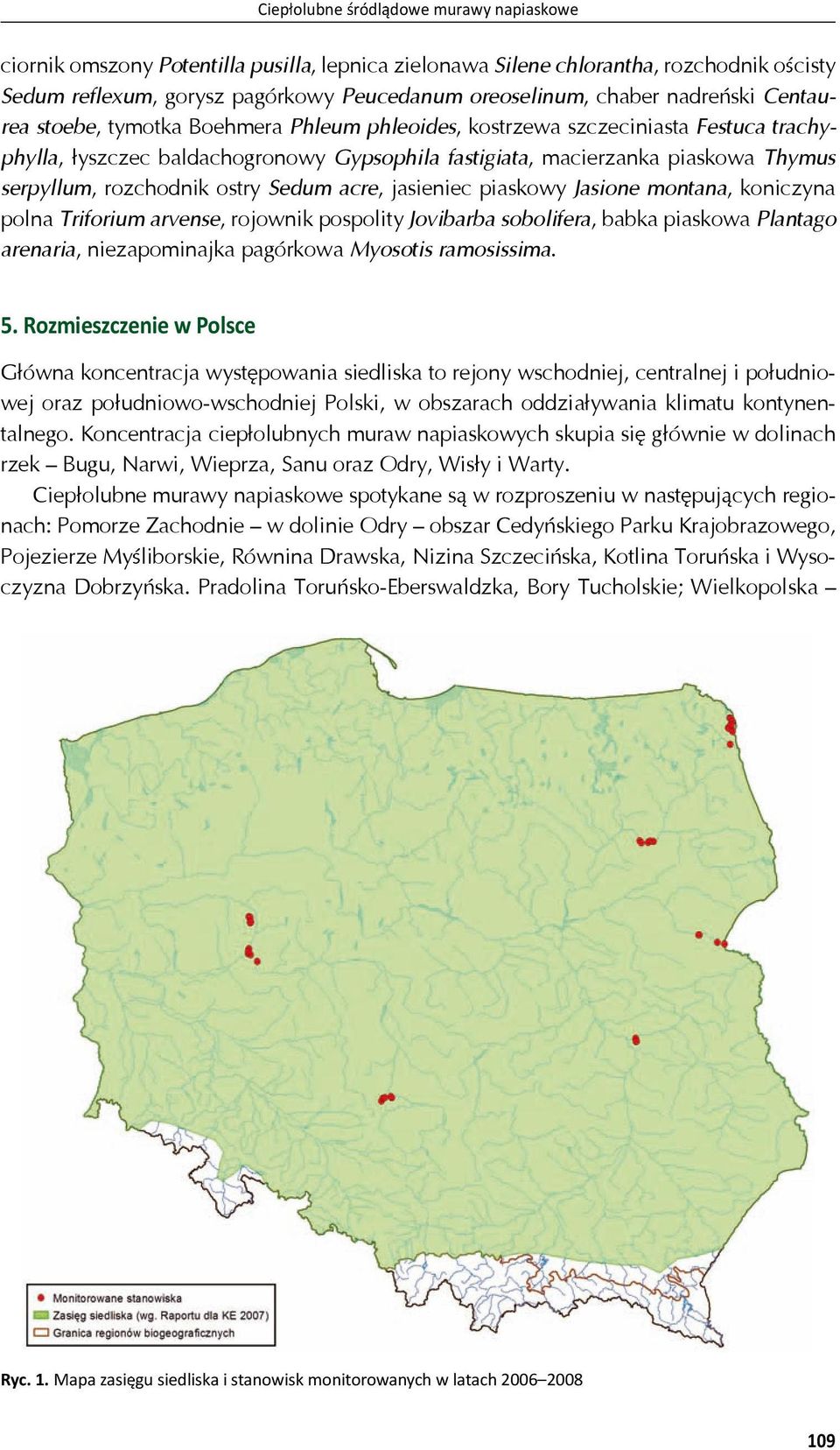rozchodnik ostry Sedum acre, jasieniec piaskowy Jasione montana, koniczyna polna Triforium arvense, rojownik pospolity Jovibarba sobolifera, babka piaskowa Plantago arenaria, niezapominajka pagórkowa