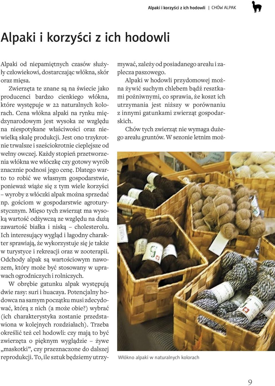 Cena włókna alpaki na rynku międzynarodowym jest wysoka ze względu na niespotykane właściwości oraz niewielką skalę produkcji.