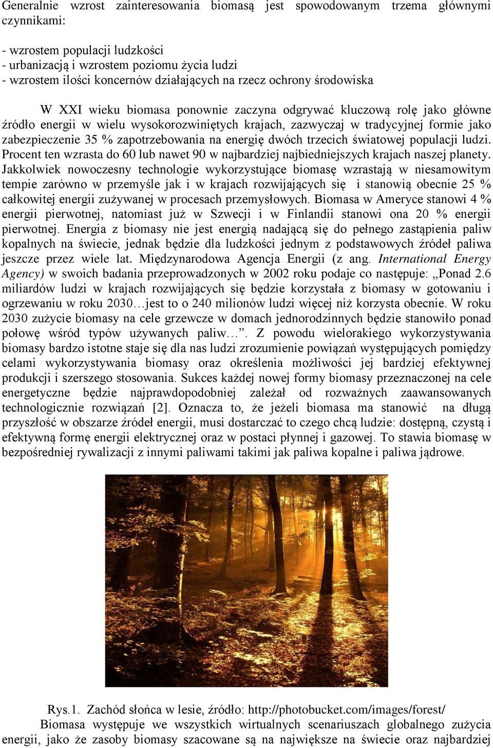 zabezpieczenie 35 % zapotrzebowania na energię dwóch trzecich światowej populacji ludzi. Procent ten wzrasta do 60 lub nawet 90 w najbardziej najbiedniejszych krajach naszej planety.