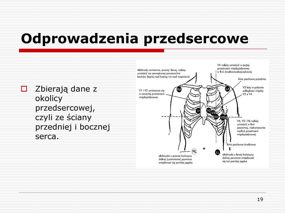 przedsercowej, czyli ze