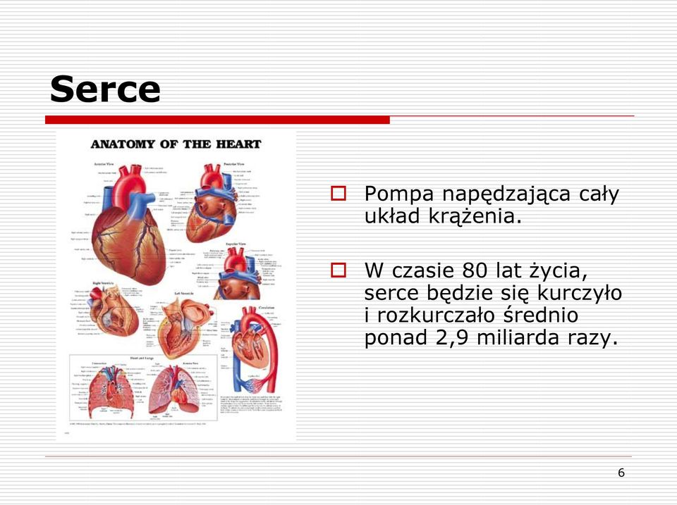 W czasie 80 lat życia, serce będzie