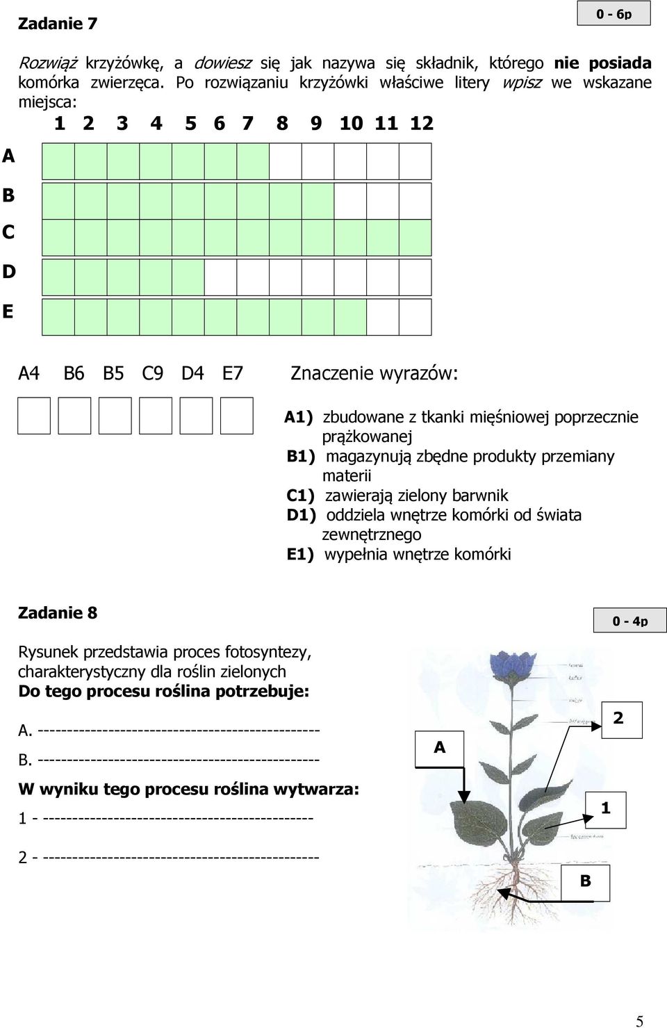produkty przemiany materii C) zawierają zielony barwnik D) oddziela wnętrze komórki od świata zewnętrznego E) wypełnia wnętrze komórki Zadanie 8 Rysunek przedstawia proces fotosyntezy,