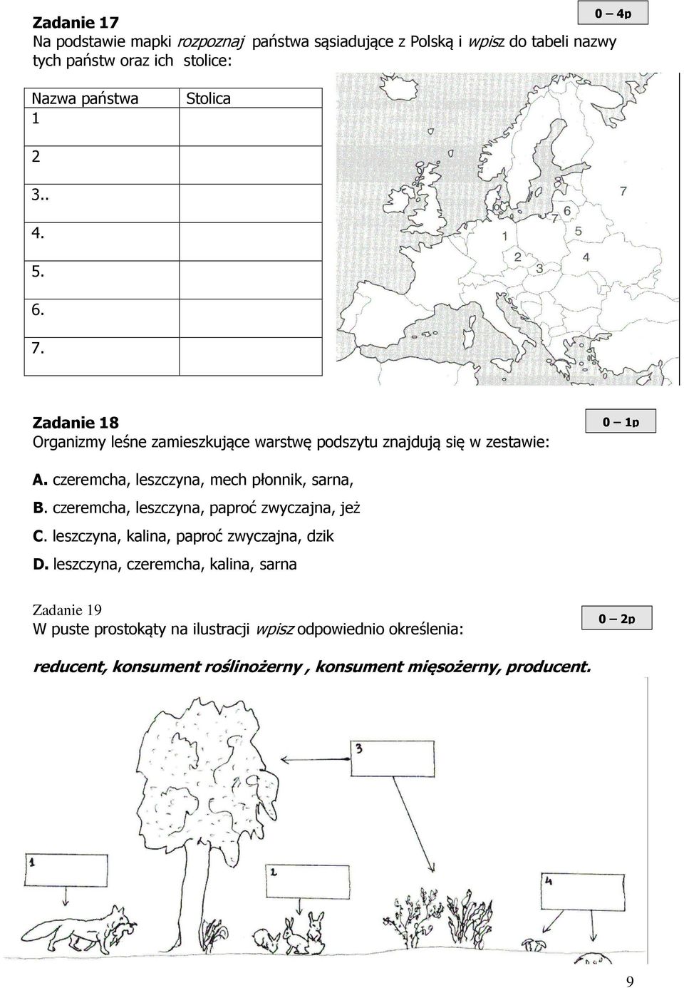 czeremcha, leszczyna, mech płonnik, sarna, B. czeremcha, leszczyna, paproć zwyczajna, jeż C. leszczyna, kalina, paproć zwyczajna, dzik D.