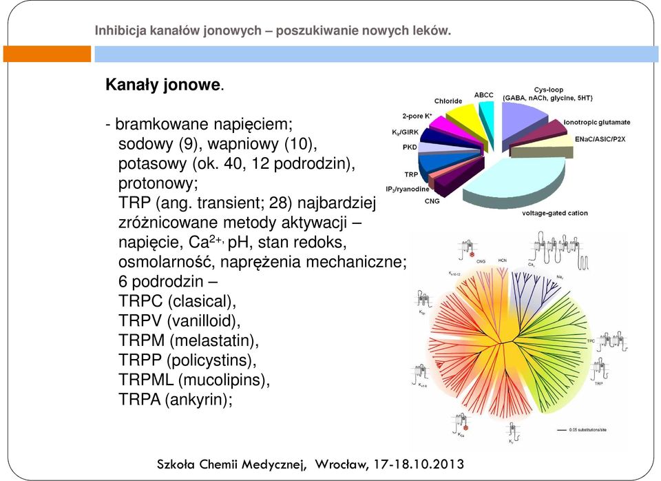 transient; 28) najbardziej zróżnicowane metody aktywacji napięcie, Ca 2+, ph, stan