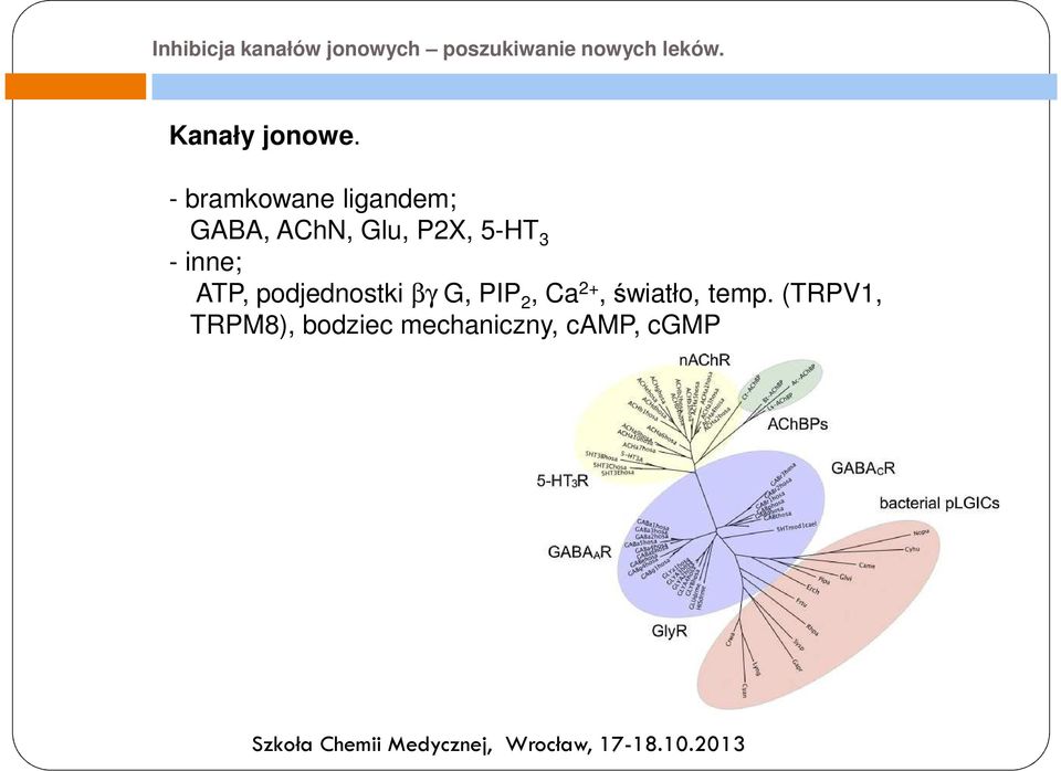 βγ G, PIP 2, Ca 2+, światło, temp.