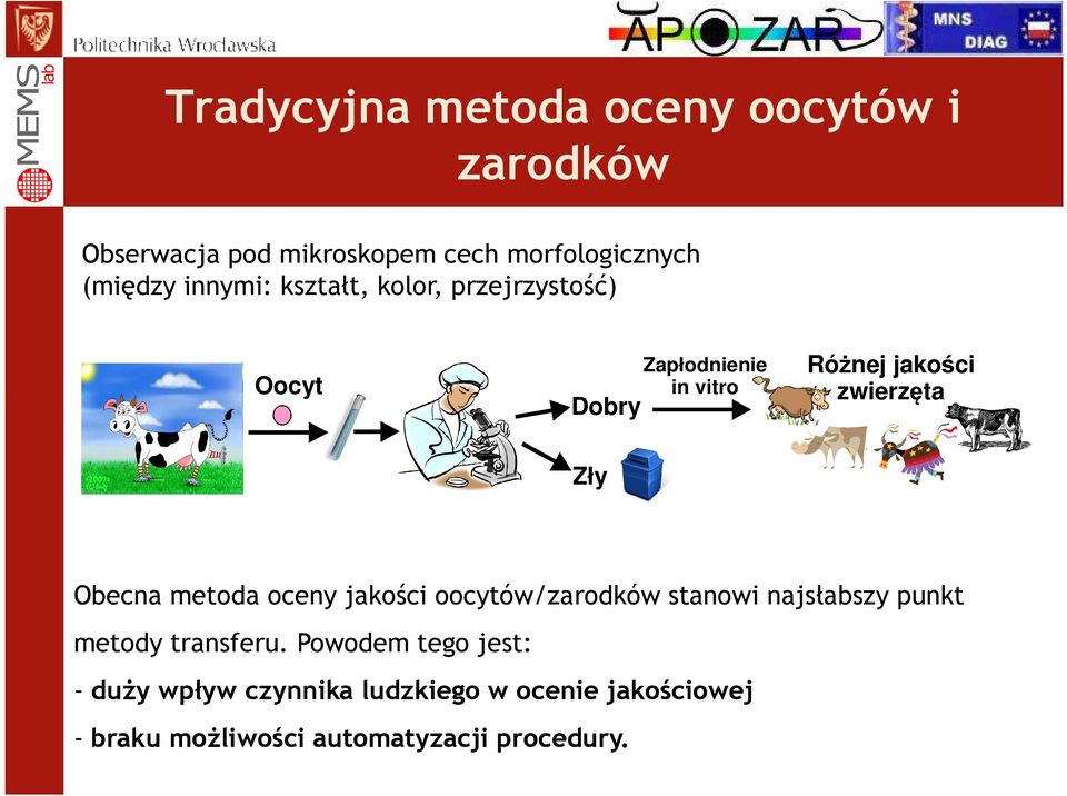 Zły Obecna metoda oceny jakości oocytów/zarodków stanowi najsłabszy punkt metody transferu.