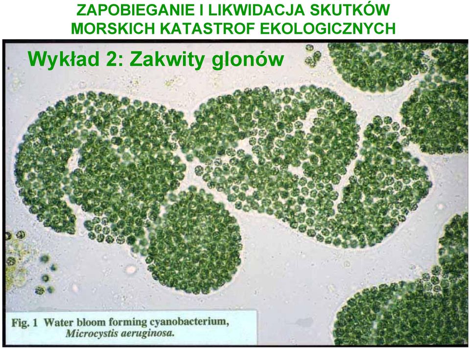 MORSKICH KATASTROF