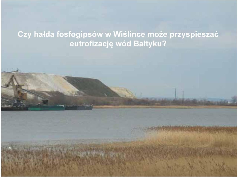Wiślince może