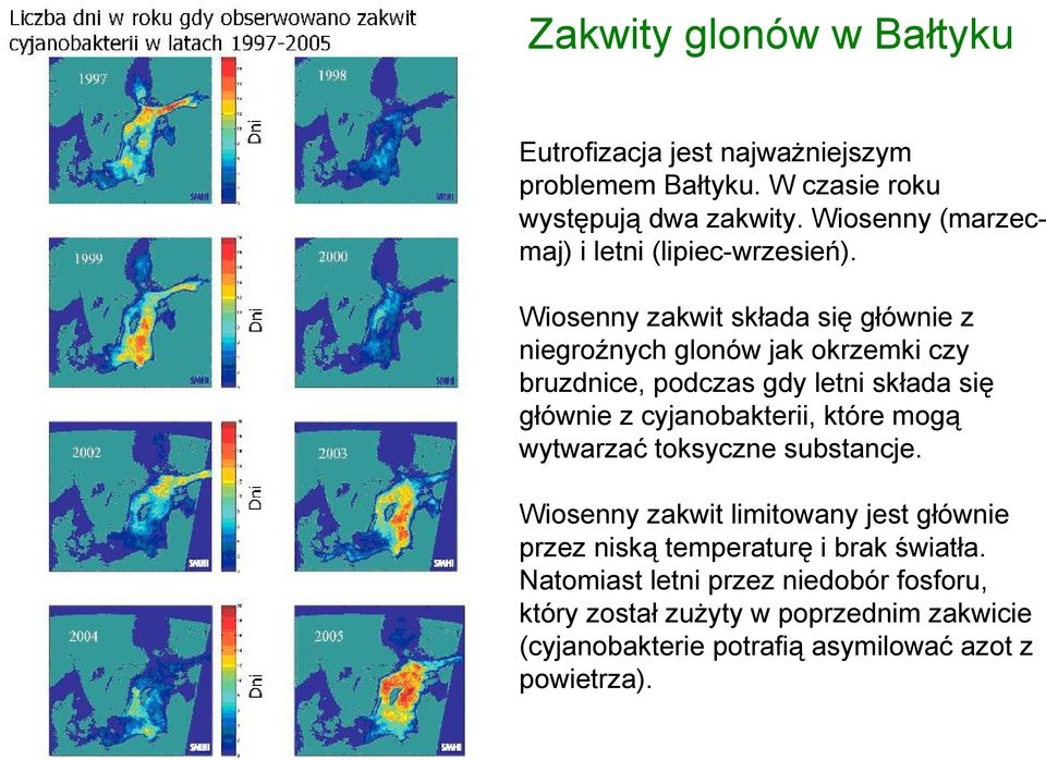 Wiosenny zakwit składa się głównie z niegroźnych glonów jak okrzemki czy bruzdnice, podczas gdy letni składa się głównie z cyjanobakterii,