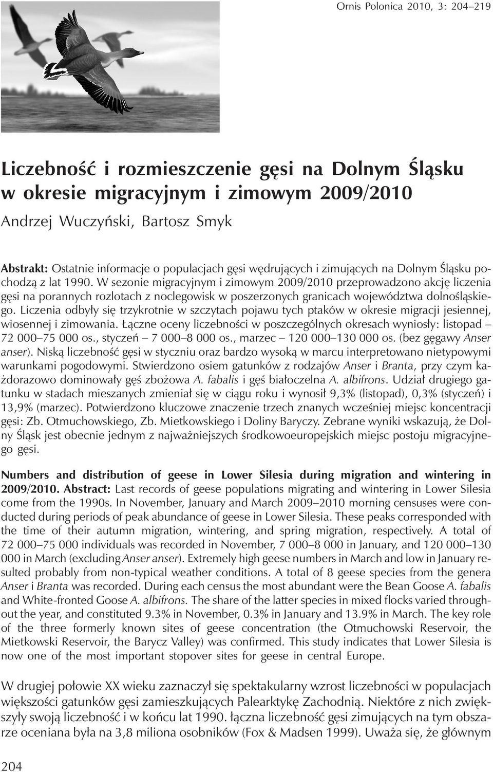 W sezonie migracyjnym i zimowym 2009/2010 przeprowadzono akcjęliczenia gęsi na porannych rozlotach z noclegowisk w poszerzonych granicach województwa dolnośląskiego.