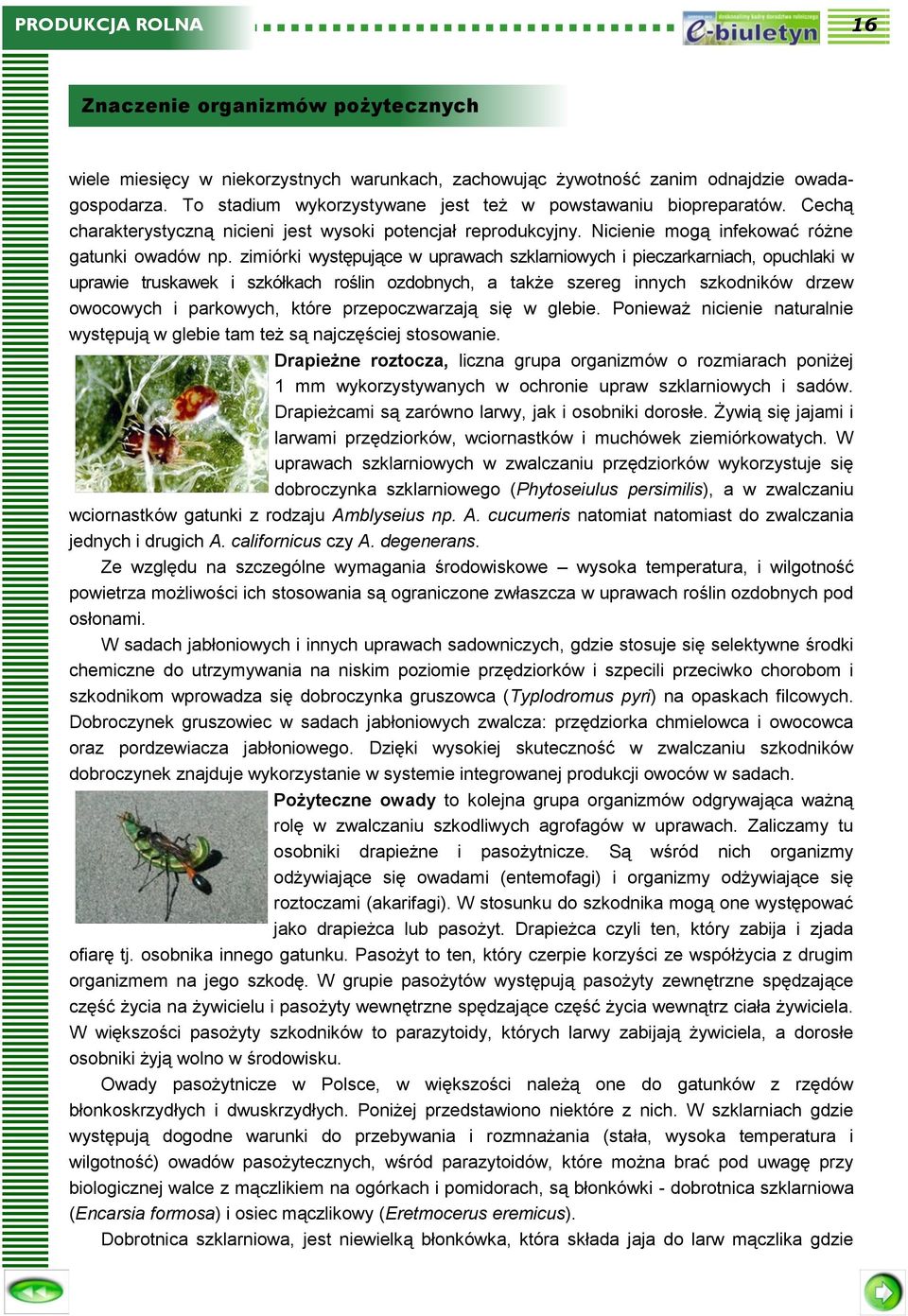 zimiórki występujące w uprawach szklarniowych i pieczarkarniach, opuchlaki w uprawie truskawek i szkółkach roślin ozdobnych, a także szereg innych szkodników drzew owocowych i parkowych, które