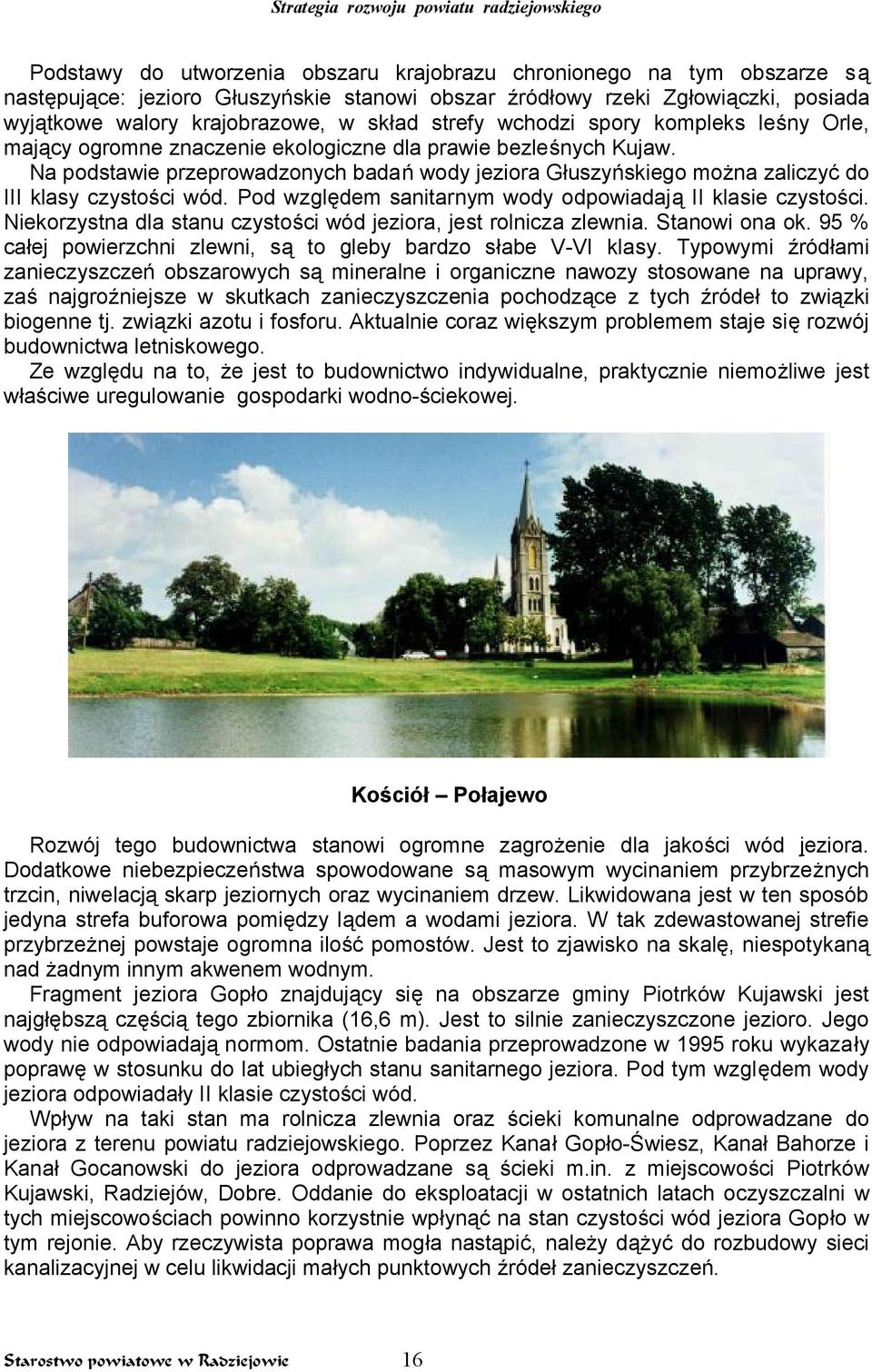 Na podstawie przeprowadzonych badań wody jeziora Głuszyńskiego można zaliczyć do III klasy czystości wód. Pod względem sanitarnym wody odpowiadają II klasie czystości.