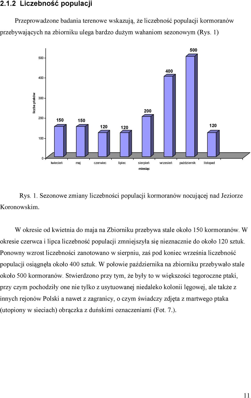 W okresie od kwietnia do maja na Zbiorniku przebywa stale około 150 kormoranów. W okresie czerwca i lipca liczebność populacji zmniejszyła się nieznacznie do około 120 sztuk.