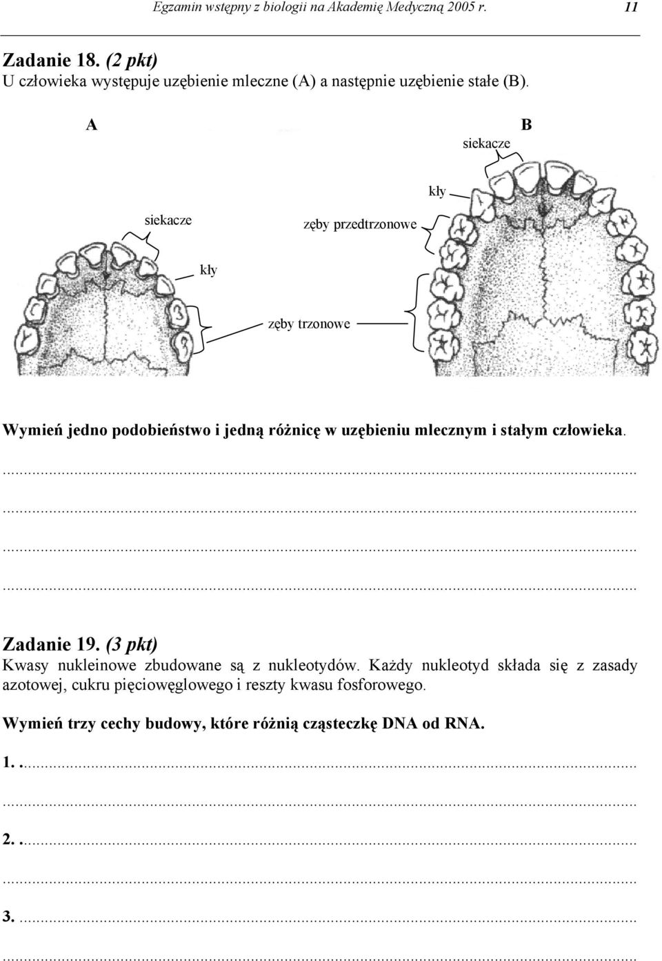 A siekacze B kły siekacze zęby przedtrzonowe kły zęby trzonowe Wymień jedno podobieństwo i jedną różnicę w uzębieniu mlecznym i stałym