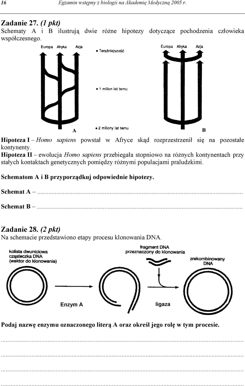 Hipoteza I Homo sapiens powstał w Afryce skąd rozprzestrzenił się na pozostałe kontynenty.