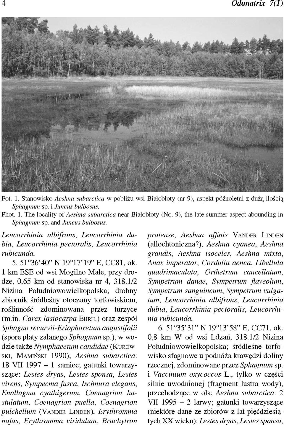 51 36 40 N 19 17 19 E, CC81, ok. 1 km ESE od wsi Mogilno Małe, przy drodze, 0,65 km od stanowiska nr 4, 318.