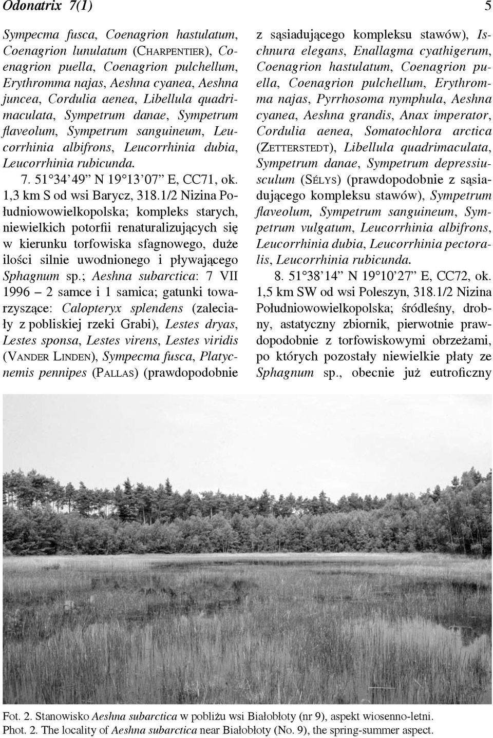 1,3 km S od wsi Barycz, 318.