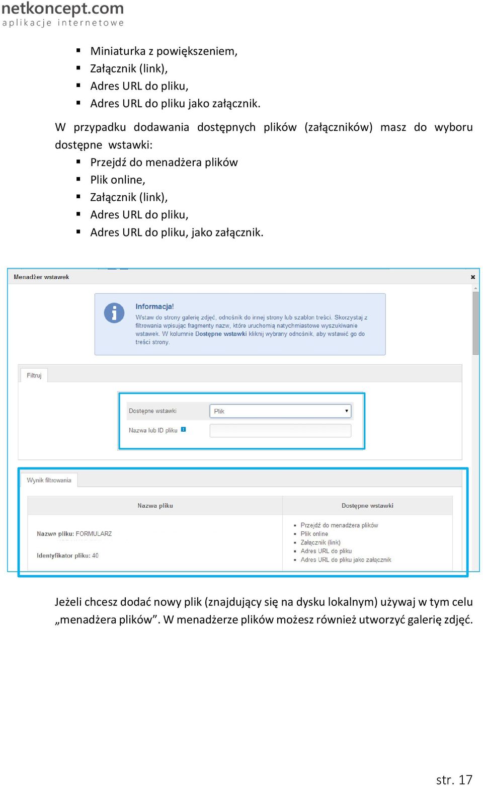 Plik online, Załącznik (link), Adres URL do pliku, Adres URL do pliku, jako załącznik.