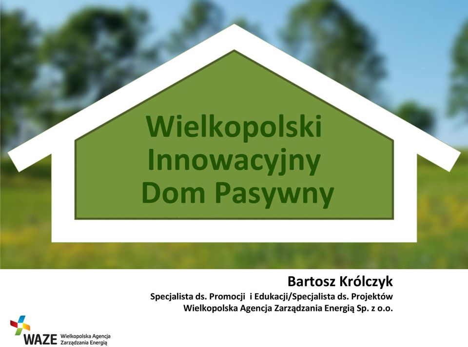 ds. Projektów Wielkopolska