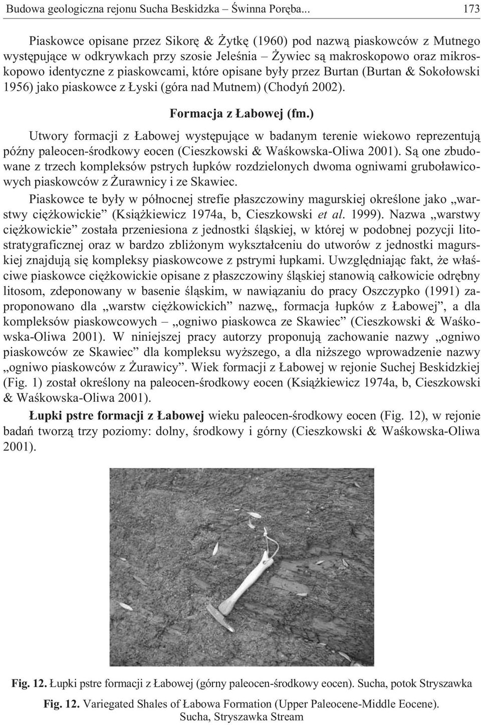 które opisane by³y przez Burtan (Burtan & Soko³owski 1956) jako piaskowce z yski (góra nad Mutnem) (Chodyñ 2002). Formacja z abowej (fm.